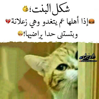 اجمل بوستات للفيس بوك بالصور صور بوستات مميزة مساء الورد