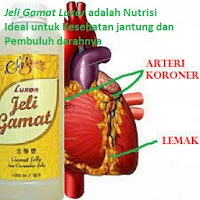 obat jantung alami jeli gamat luxor obat jantung koroner