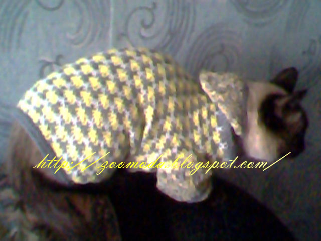 Одежда для кошек и собак на заказ в Нижнем Новгороде!