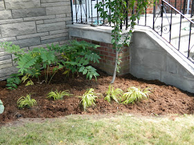 Scarborough Dorset Park front yard garden makeover after by Paul Jung Gardening Services Toronto