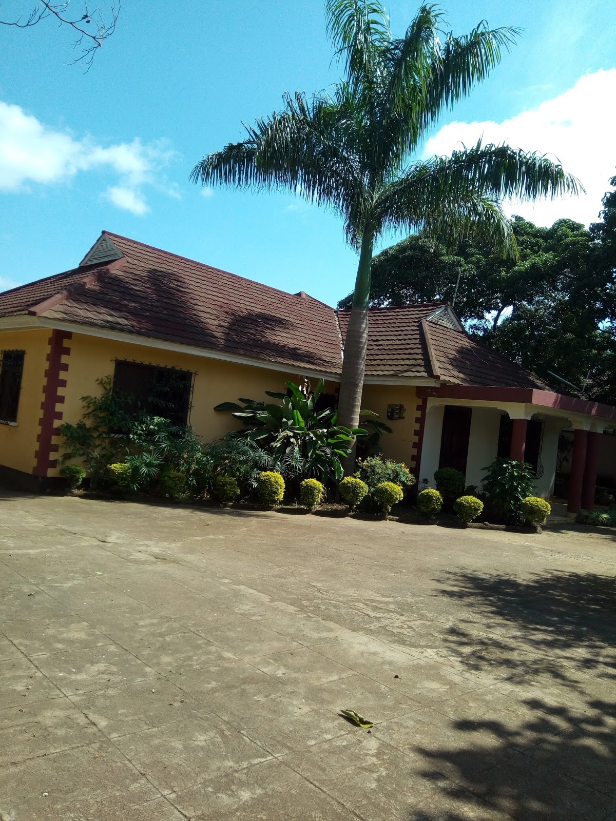 Rent house in Tanzania Arusha rent homes, Houses for sale,vacation