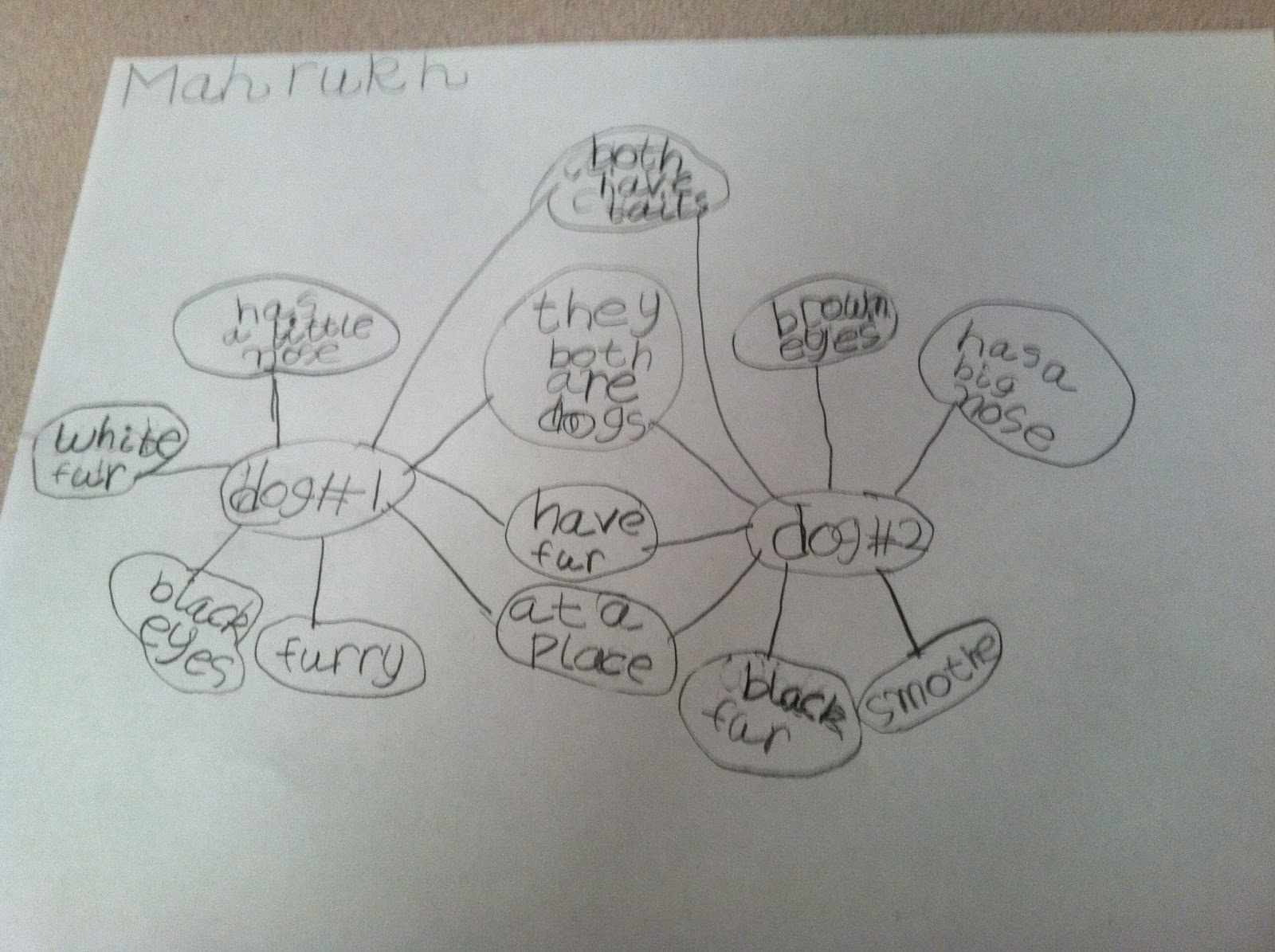 Team J's Second Grade Fun: Compare and Contrast - Part 1