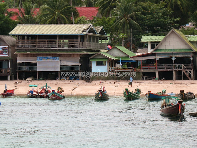 Koh Tao