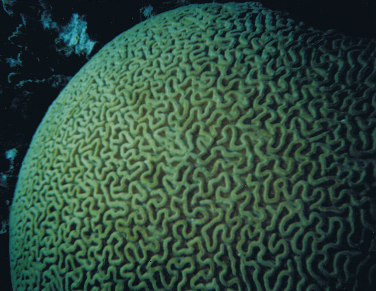 Jim Devitt An Analysis of Best Practices for Social Media Marketing