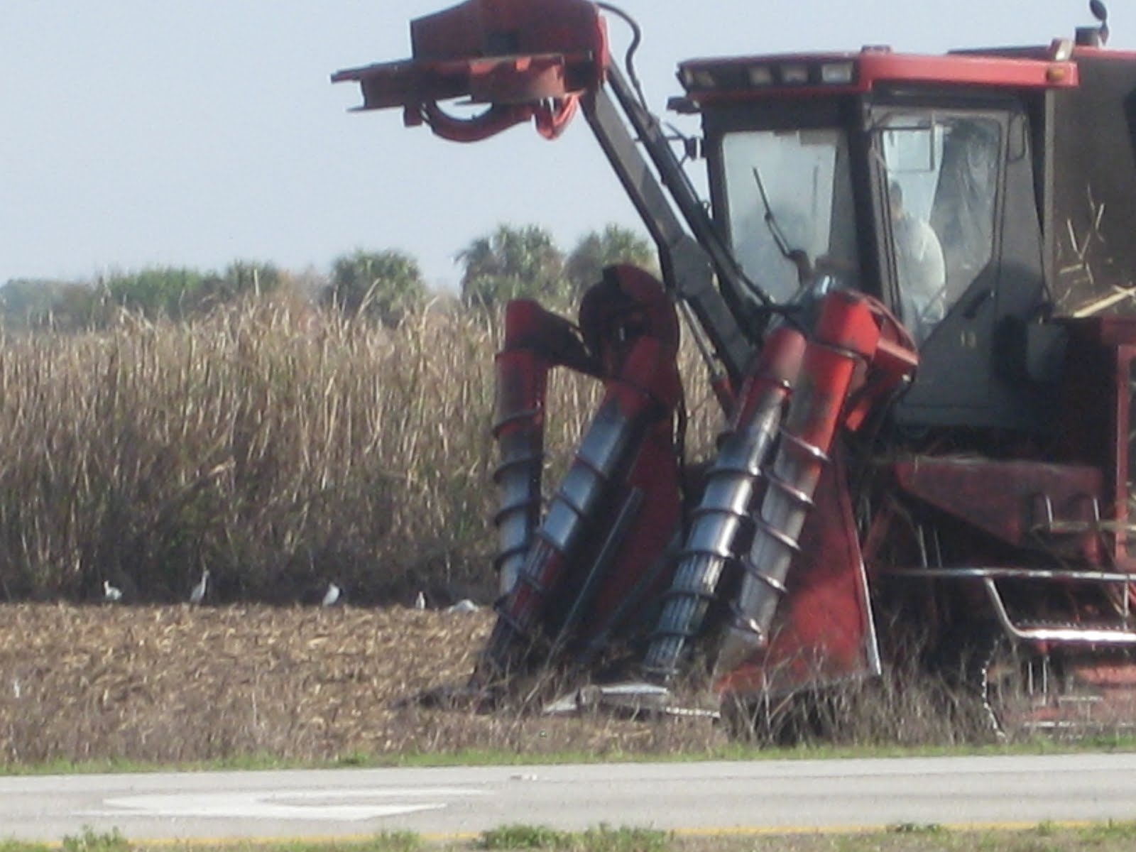 Deckers on the Road Sugar Cane Harvest in Southern Florida