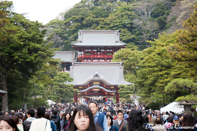 Día 7 - Kamakura - Japón primavera 2016 - 18 días (con bajo presupuesto) (14)