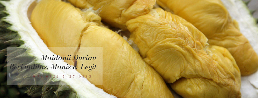 Jual Daging Durian