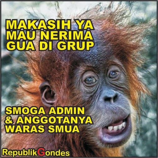 Meme Gokil Komen Status di Grup Humor FB ~ Cerita Humor 