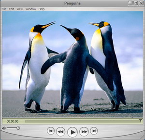 play dvd in quicktime player windows 7