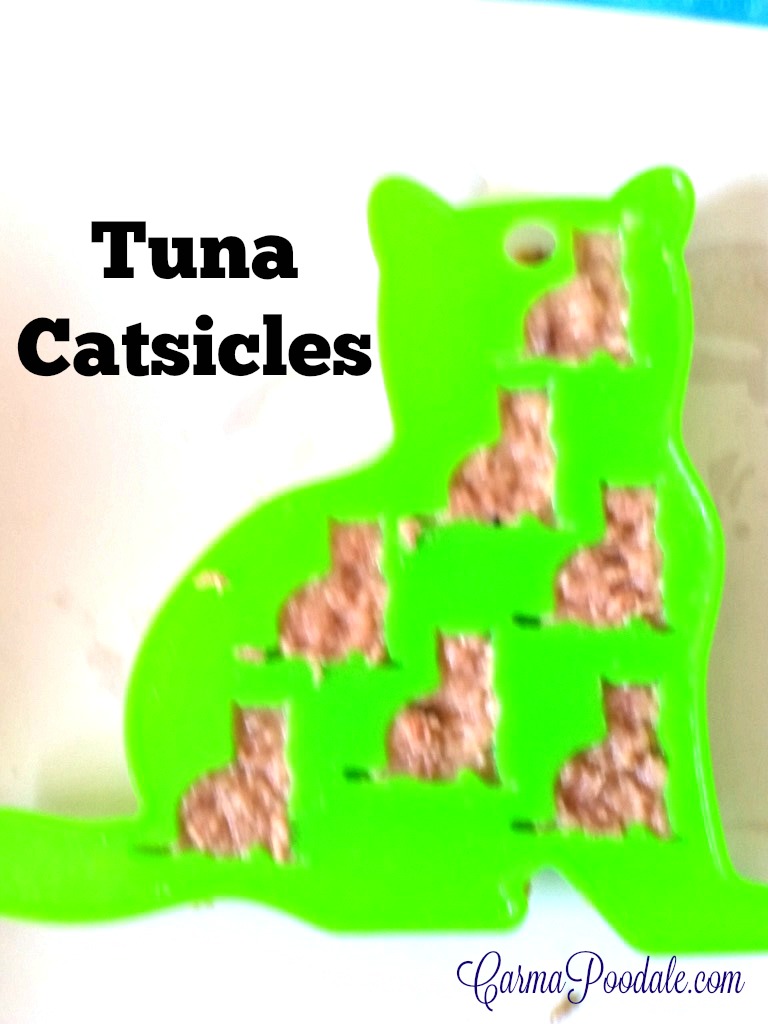 Carma Poodale Tuna Catsicles for Cats,Tasty Tuesday
