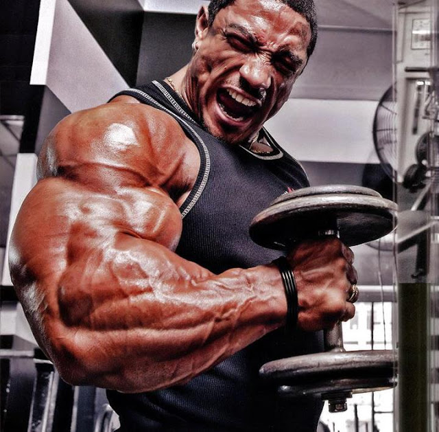 mr olympia 2012, mr olympia 2012 predictions, mr olympia 2012 winner ...