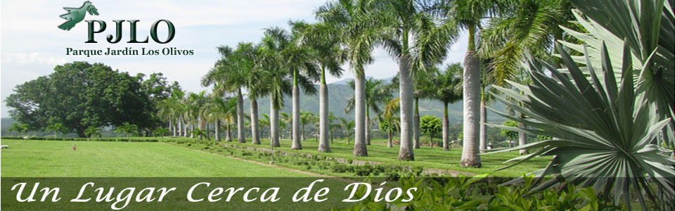 parque jardin los olivos