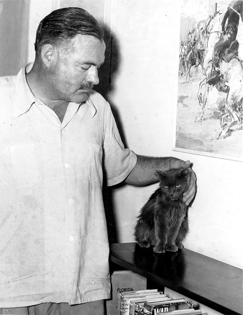 26 Interesting Vintage Photos of Ernest Hemingway With His Beloved Cats