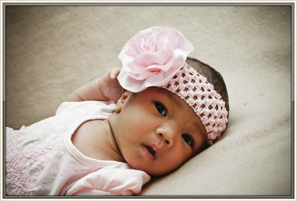Sassy Baby Food Nurser Reviews Sassy Baby Food Nurser Reviews