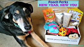 senior rescue dog with Pooch Perks subscription box