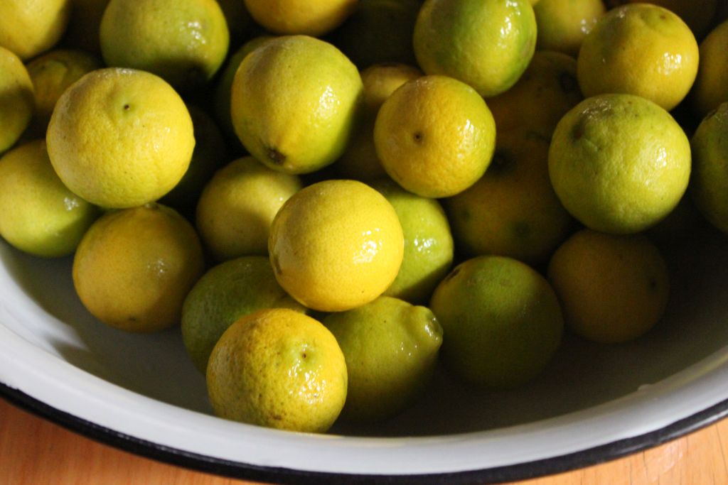 Towerwater Aan De Breede Pickled Limes and superstitions