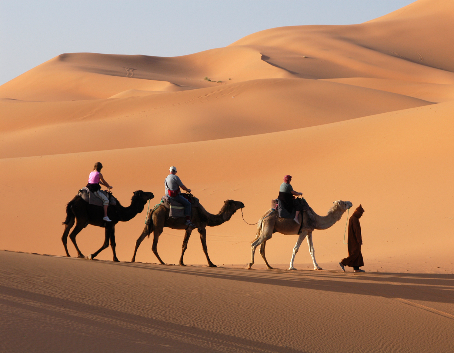 Traveling magazine. Караван в пустыне. Верблюды в пустыне на закате. Дубай пустыня. Караван верблюдов на закате.