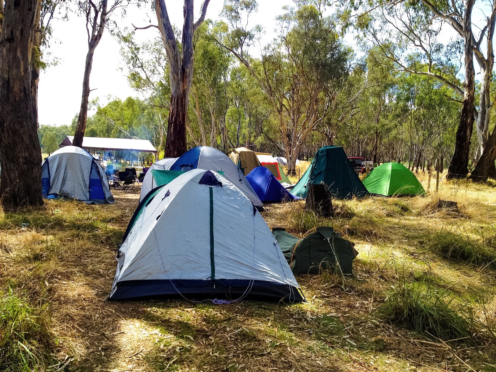 camp site with tents
