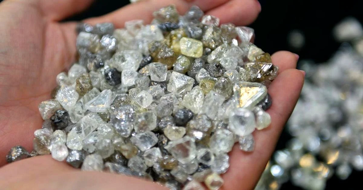 Geologist Discovers Plant That Only Grows Near Diamonds