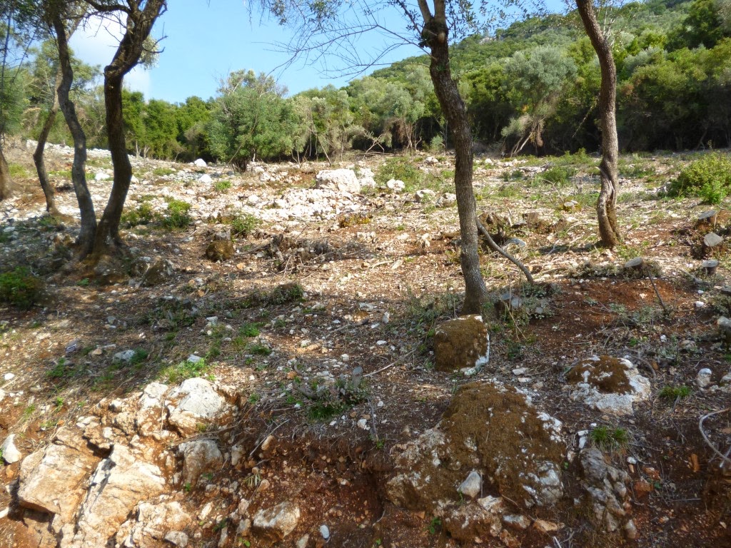 Ionian Greece Real Estate STUNNING SEASIDE PROPERTY FOR SALE IN