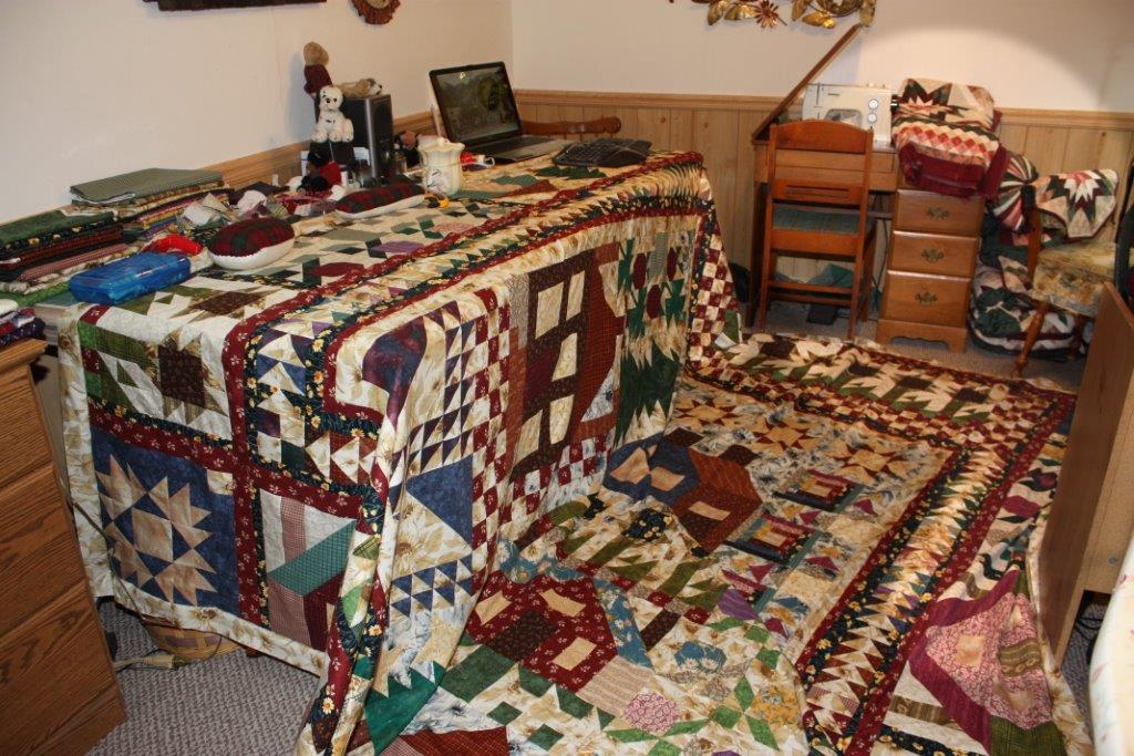 Sarah Lynn's Quilting Thimbleberries Village Quilt Hang Done
