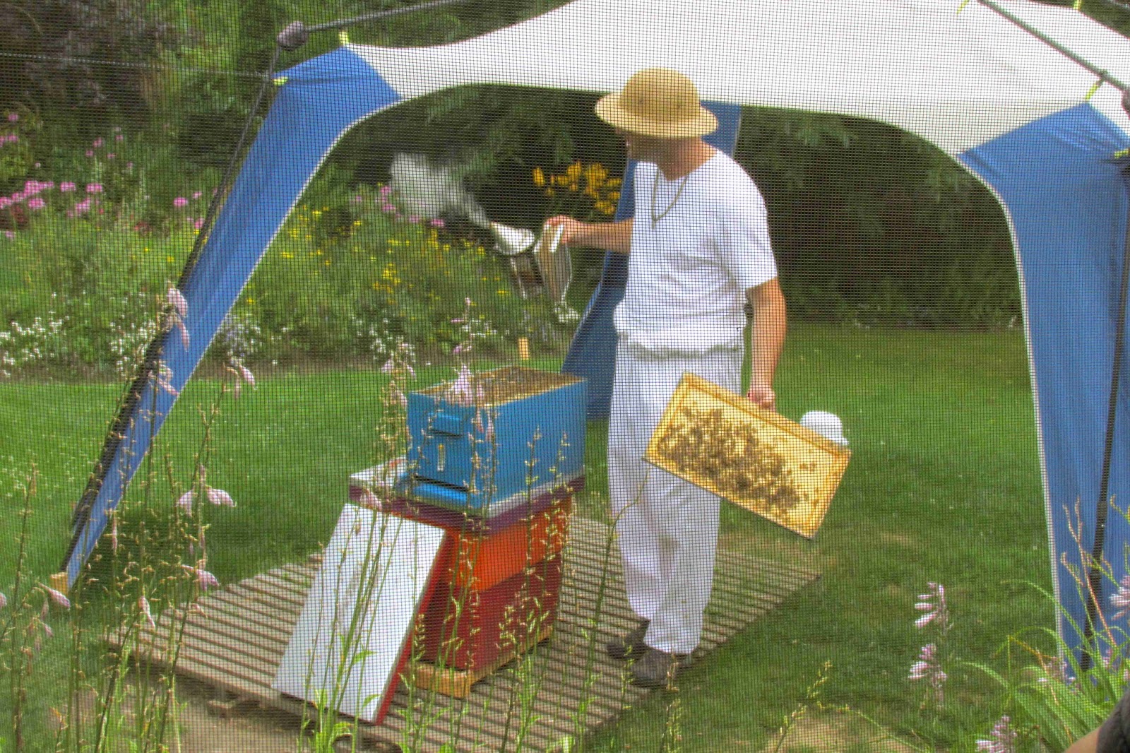 Ouverture de ruche Hydromellerie Intermiel