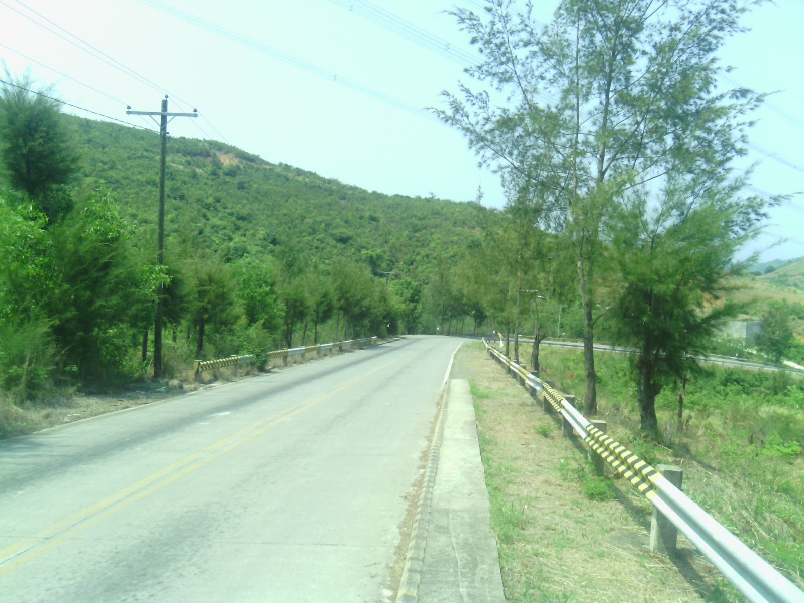 Pasig Best Properties Farm Lots For Sale Sual Pangasinan