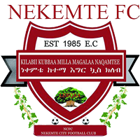 NEKEMTE CITY FC