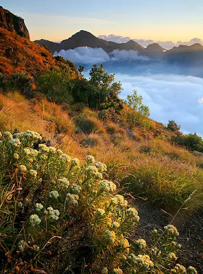 Afternoon Plawangan Sembalun an altitude 2639 meters - Mount Rinjani