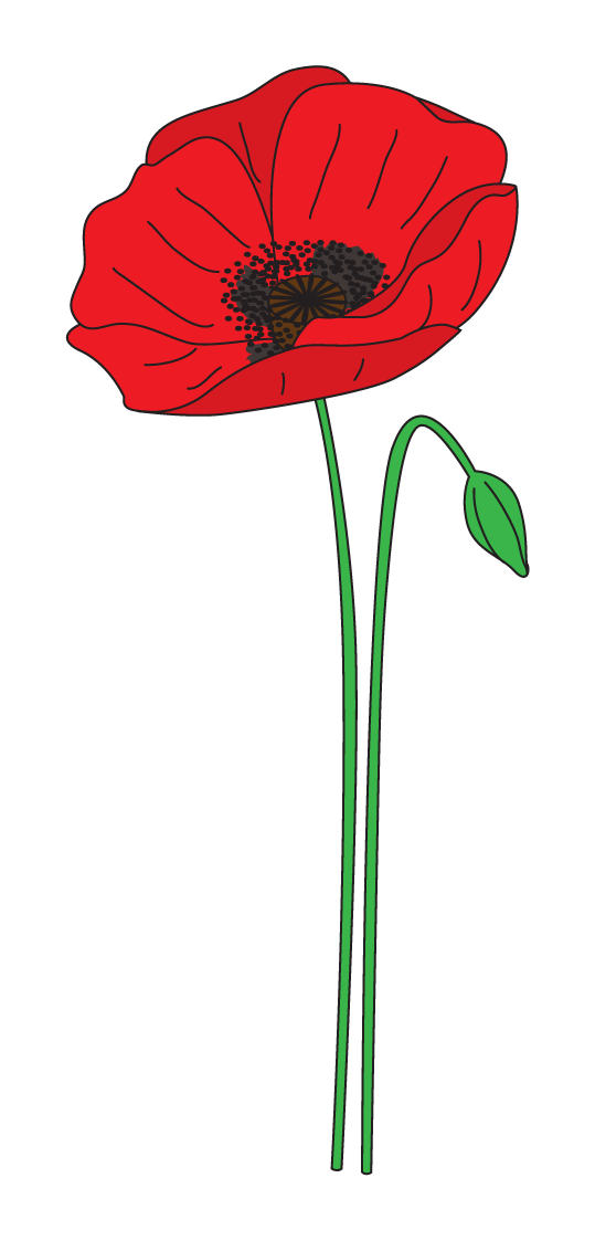 free poppy flower clip art - photo #18