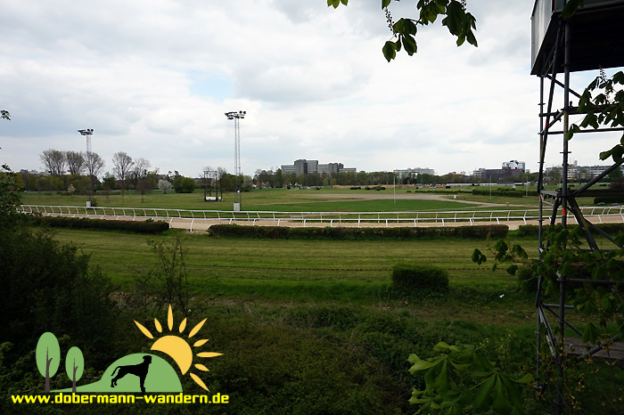 Weiberkram 1 Png 802 1125 Weiberkram Weibchen Neuss