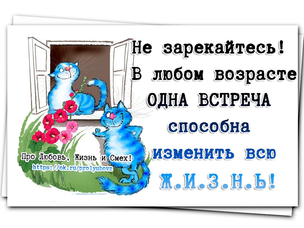 Одна встреча может изменить всю жизнь картинки