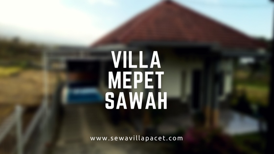 Villa Mepet Sawah Pacet - SEWA VILLA PACET MOJOKERTO