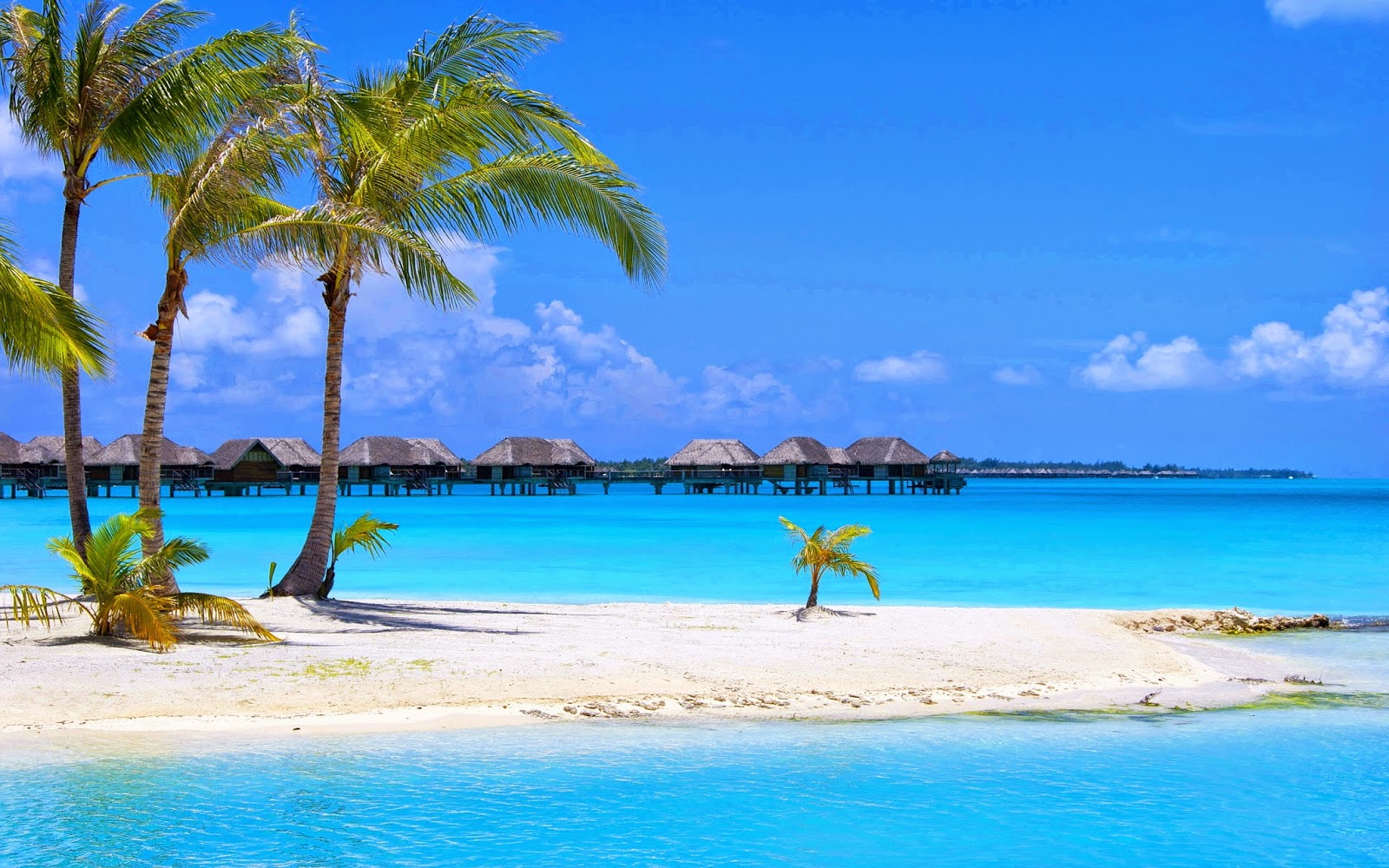 desktop backgrounds 4u beach backgrounds