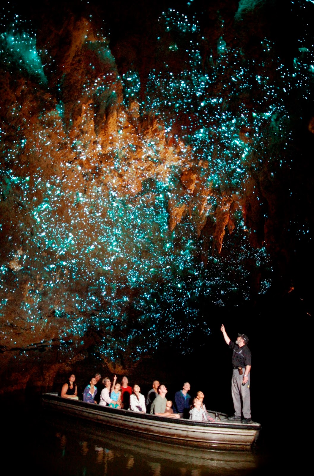 Glowworm Cave, New Zealand Glowworm Cave, New Zealand