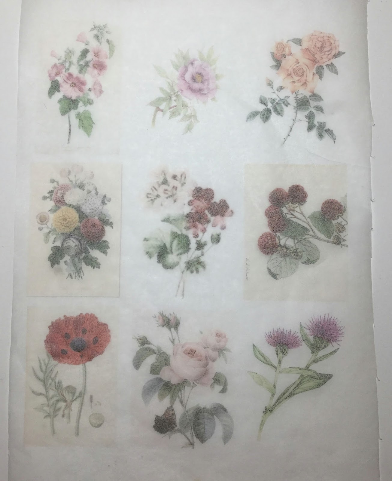 Scrapbookingitalia La magia delle carta da forno