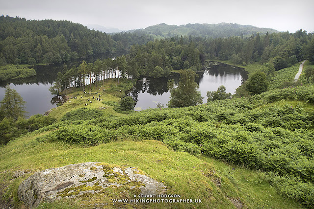 Tarn hows, best, walk, route, map, Lake District, lakes, Beatrix Potter, national trust, Glen Mary