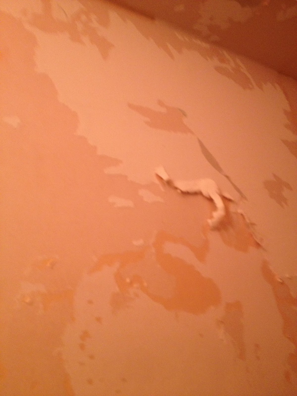 RENOVATION PARQUET SUITE A DEGAT DES EAUX PARIS 75ILE DE FRANCE RENOVEX ARTISAN PEINTRE