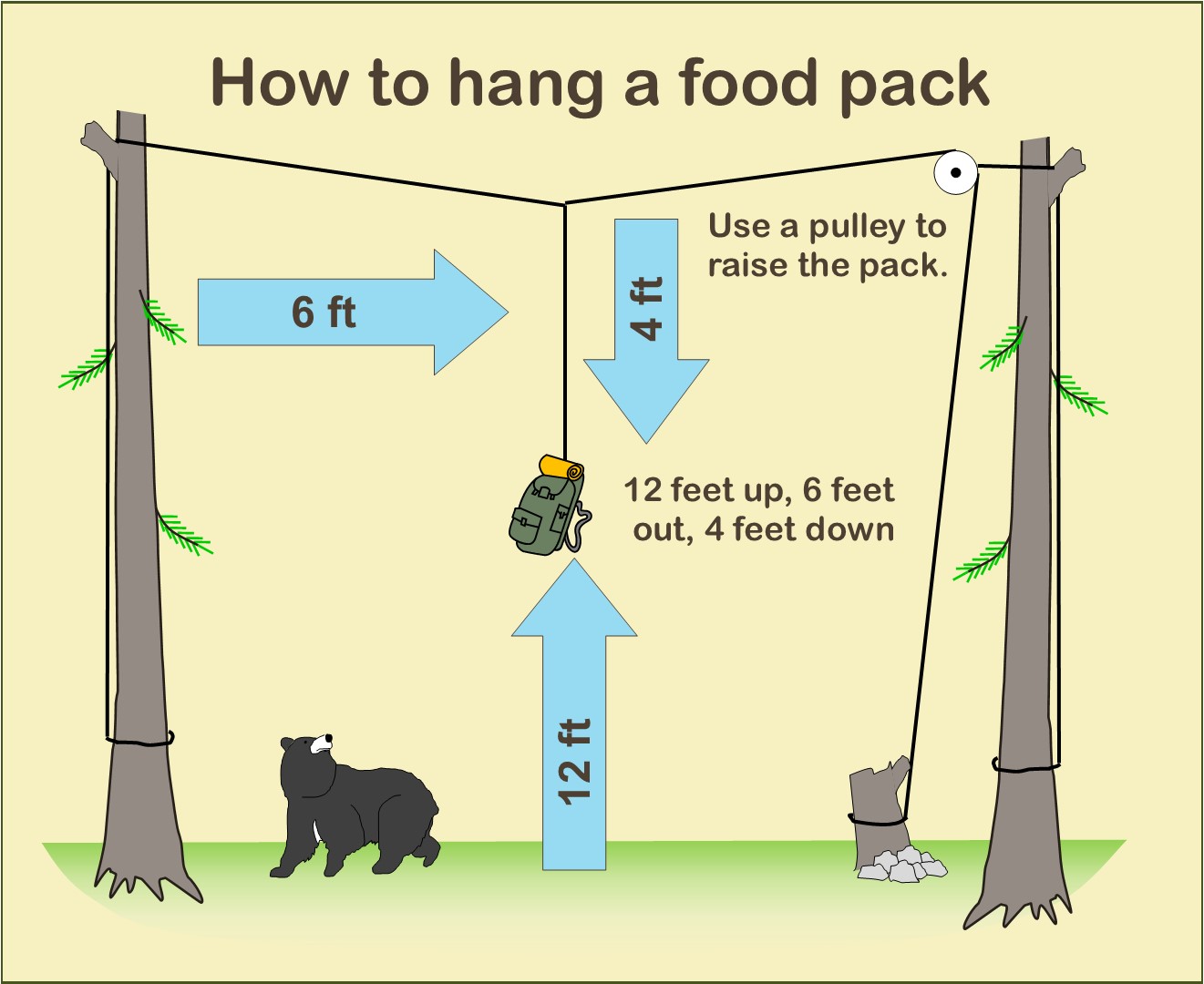 Piragis Northwoods Company Boundary Waters Blog: Bear Activity in