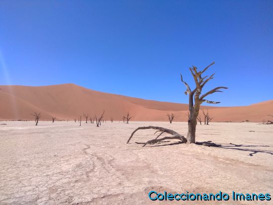 Namibia en luna de miel - Blogs de Namibia - Introducción (1)