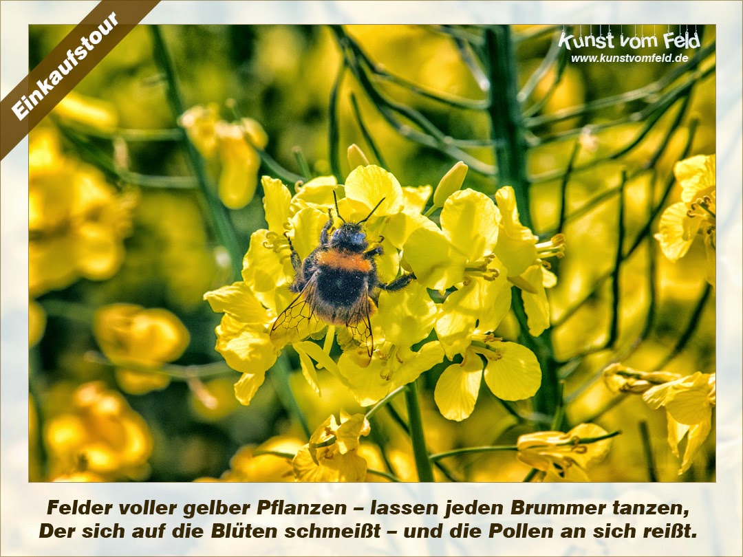 Verkehr Unfall Auf Der B2 An Der Auffahrt Zum Dreieck Barnim