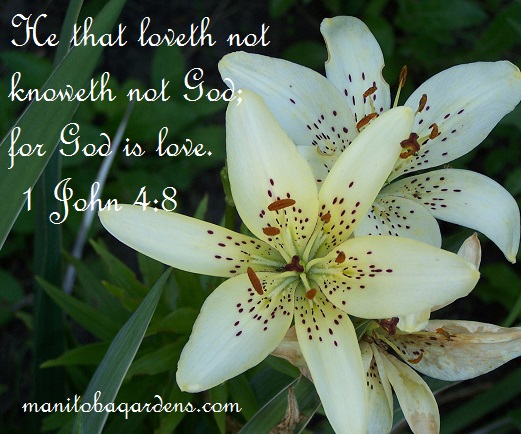 1 John 4:8 He that loveth not