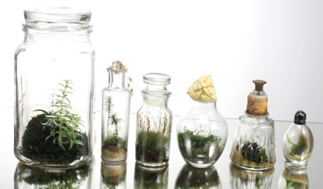 Self-Contained Ecosystems | The Collective Loop