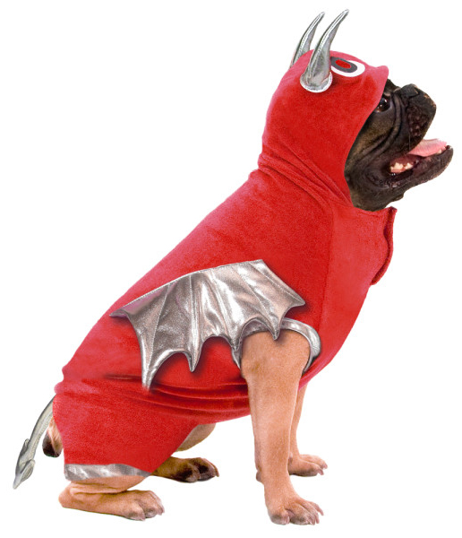 MARTHA MOMENTS: Costumes For Pets