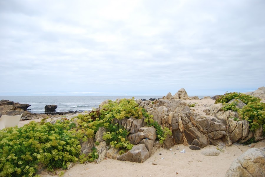 ruta por Oporto alternativa