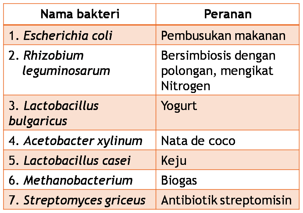 Bakteri Probiotik: Kunci Penting untuk Kesehatan dan Nutrisi Prima