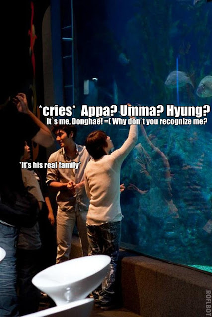 donghae+and+his+fish+family.jpg