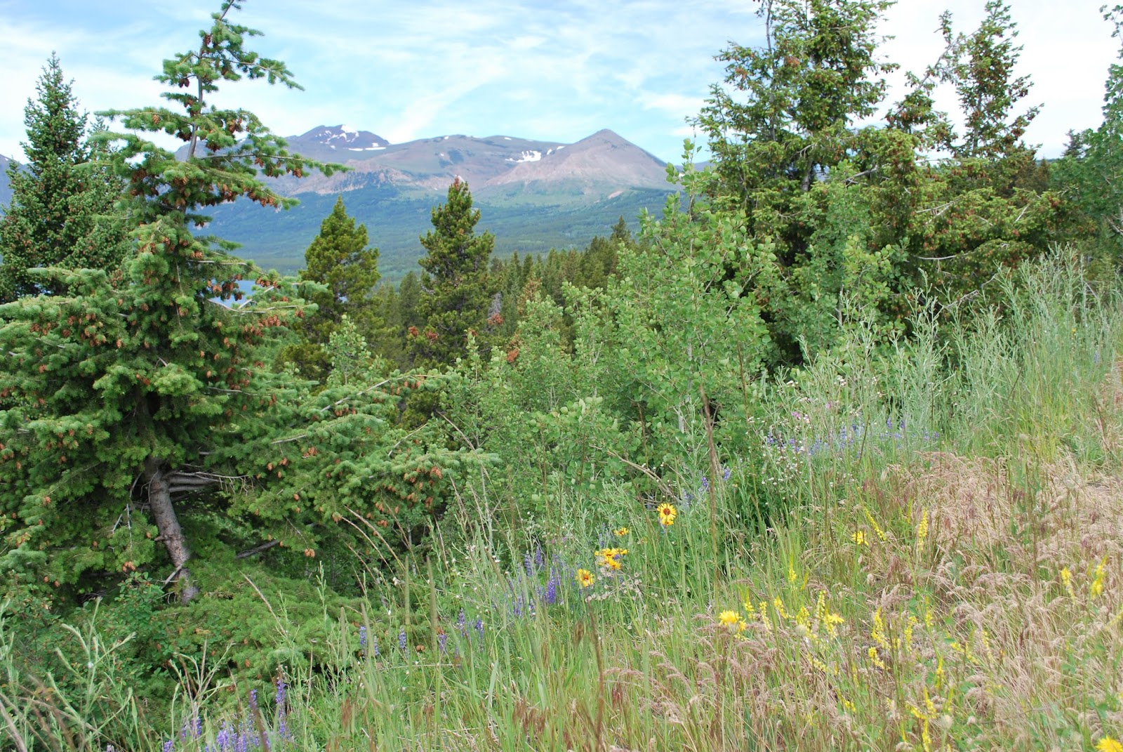 BLUE SKY AHEAD Glacier National Park, East Side