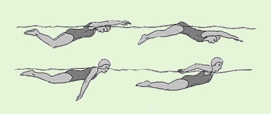 Keterampilan Renang Gaya Kupu Kupu Mikirbae Com