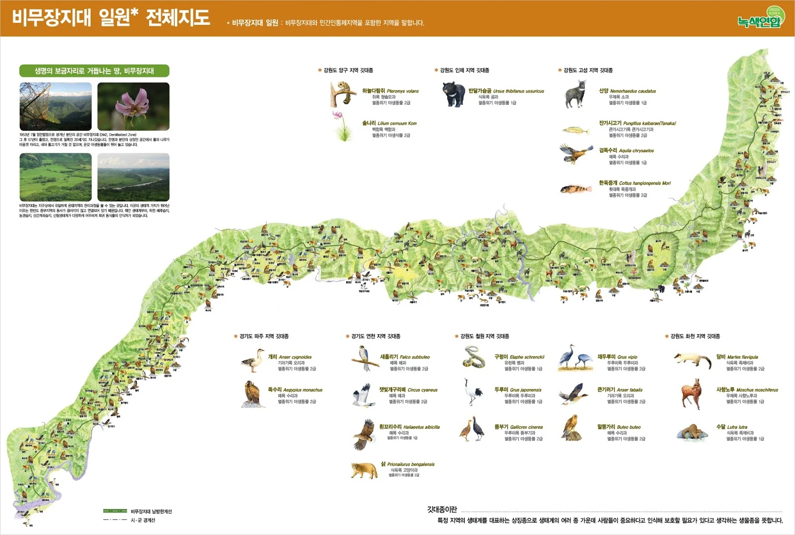 Map of the Korean Demilitarized Zone & the endangered animals that live in it 